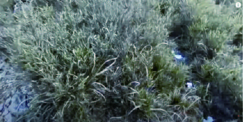 LeaveNoTrace4