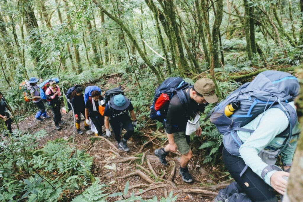 LeaveNoTrace7