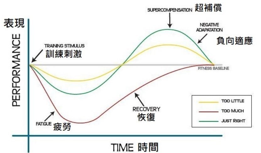 圖1 週期化訓練在基本概念上,於任何運動都是可以相通的