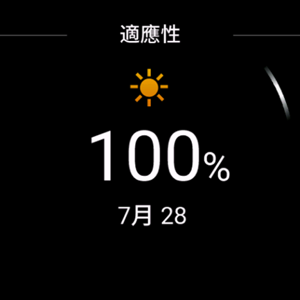 熱適應