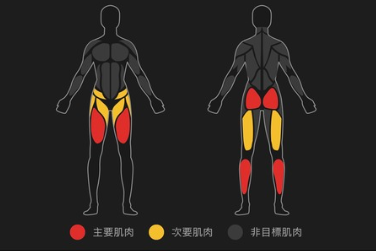 garmin-connectmuscle-anatomy